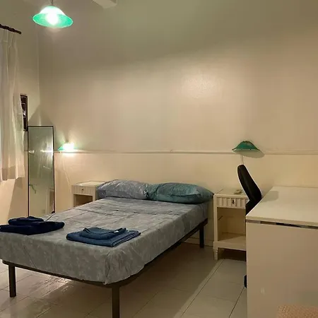 The Tangerine's Garden *