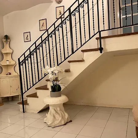 The Tangerine's Garden