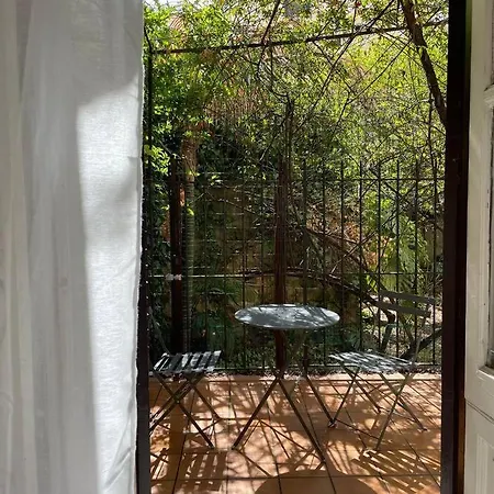 The Tangerine's Garden